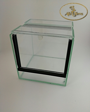 Terrarium szklane 15x15x15 cm GILOTYNA