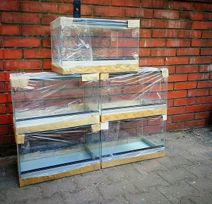 Terrarium szklane 80x40x40 cm.