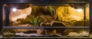 Terrarium o wymiarach 100x40x40 o wystroju pustynnym. Terrarium zawiera kryjówkę. terrarium wyposażone jest w 2 oprawki na żarówki z kompletną elektryką oraz maskownicami tych oprawek.