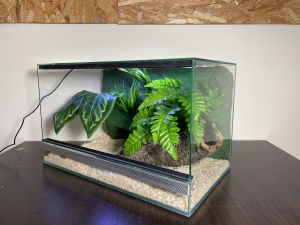Terrarium szklane z leśnym wystrojem 40x30x30 cm.