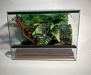 Terrarium szklane z leśnym wystrojem 40x30x30 cm.