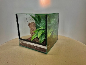 Terrarium szklane z leśnym wystrojem 20x20x20 cm.