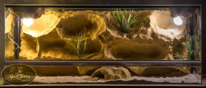 Terrarium o wymiarach 100x40x40 o wystroju pustynnym. Terrarium zawiera kryjówkę. terrarium wyposażone jest w 2 oprawki na żarówki z kompletną elektryką oraz maskownicami tych oprawek.