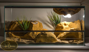 Nowe, kompletne, szklane terrarium o wymiarach: 60x40x30. Terrarium posiada kryjówkę w skały, oprawkę na żarówkę z kompletna elektryką oraz maskownice tej oprawki. terrarium idealnie nadaje się dla niewielkich pustynnych jaszczurek.