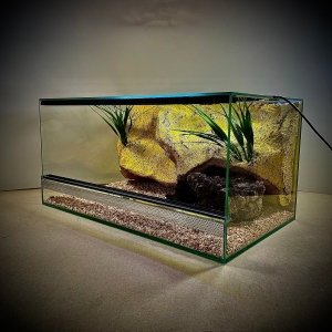 Terrarium szklane z pustynnym wystrojem 51x30x25 cm.