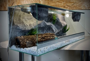 Terrarium szklane z pustynnym wystrojem 100x40x40 cm.