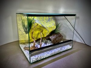 Terrarium szklane z pustynnym wystrojem 40x30x30 cm.