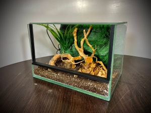 Terrarium szklane z leśnym wystrojem 30x20x20 cm.
