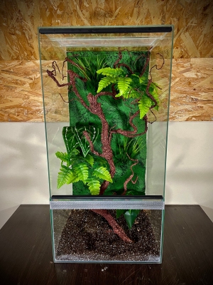 Terrarium szklane z leśnym wystrojem 40x40x80 cm.