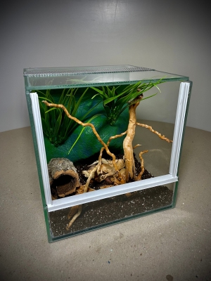 Terrarium szklane z leśnym wystrojem 20x20x20 cm.