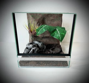 Terrarium szklane z leśnym wystrojem 30x30x30 cm.