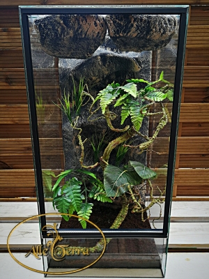 Terrarium szklane z leśnym wystrojem 40x40x80 cm.