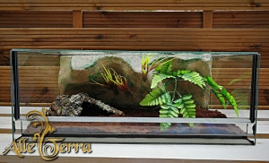 Terrarium szklane z leśnym wystrojem 60x40x30 cm.