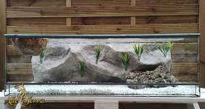 Terrarium szklane z pustynnym wystrojem 80x40x40 cm.
