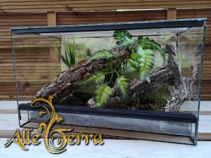 Terrarium szklane z leśnym wystrojem 100x40x40 cm.