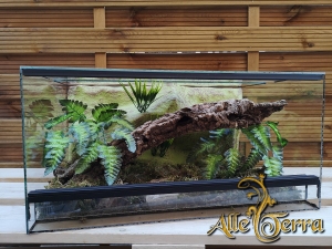 Terrarium szklane z leśnym wystrojem 80x40x40 cm.