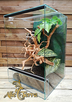 Terrarum szklane z leśnym wystrojem 30x30x50 cm.
