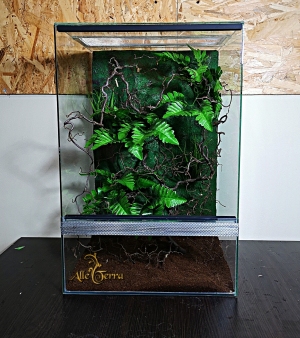 Terrarium szklane z leśnym wystrojem 40x40x60 cm.