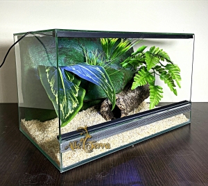 Terrarium szklane z leśnym wystrojem 50x30x30 cm.